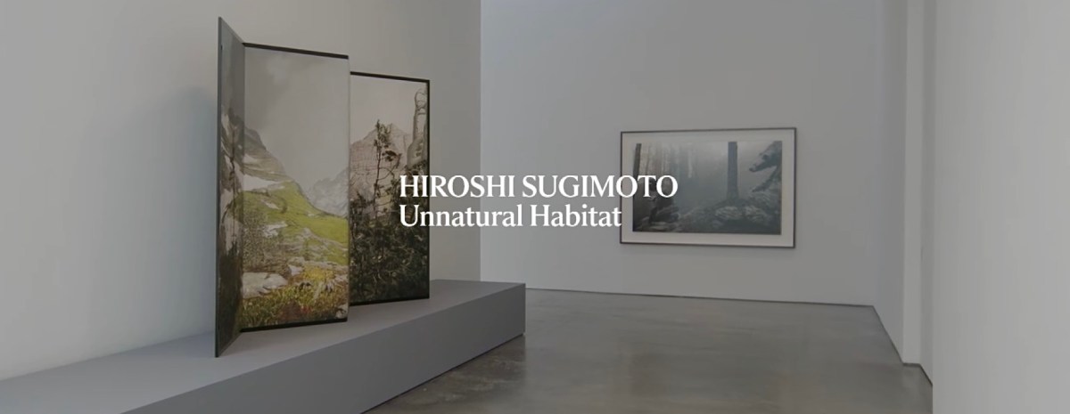 Unnatural Habitat Exhibition (Lisson Gallery New&nbsp;York)